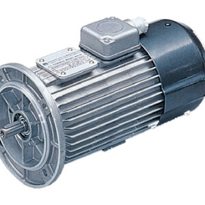 Motores eléctricos CC BONFIGLIOLI
