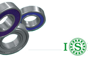 Rodamientos para motor eléctrico ISB