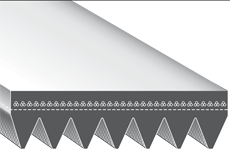 Correas en V Acanaladas