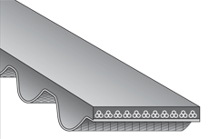 Correas STS de Alto Rendimiento